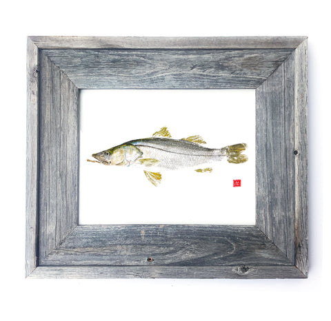 16 x 13 Framed Snook