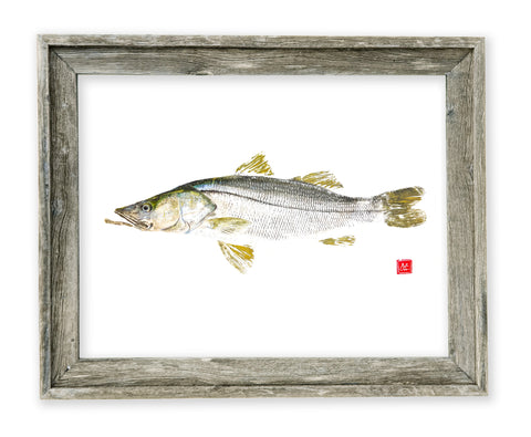 26 x 22 framed Snook