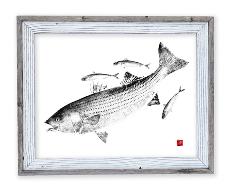 26 x 22 framed striped bass chasing mackerel