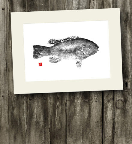 14 x11 Tautog Gyotaku Archival Print