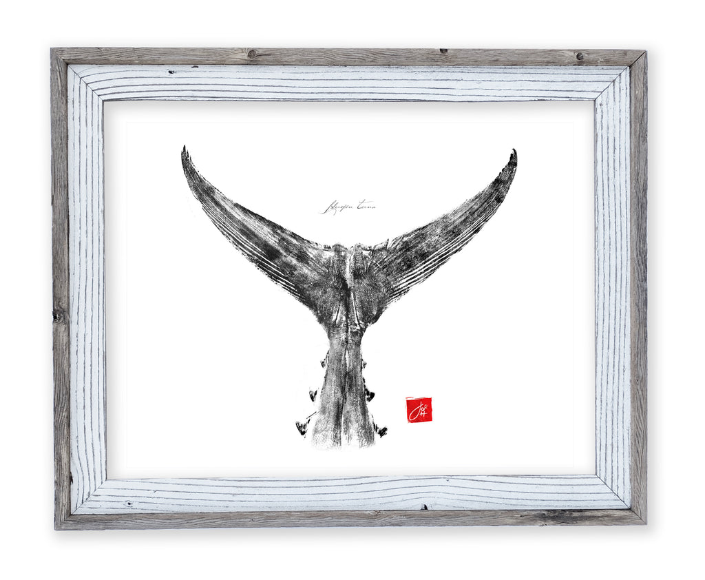 26 x 22 framed tuna tail – fishedimpressions