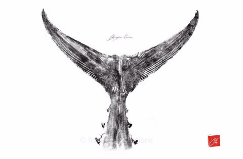 22 x17 Tuna Tail Gyotaku Archival Print