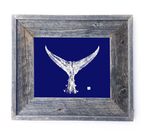 16 x 13 Framed Bluefin Tail- Blue Background
