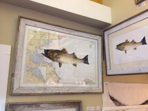 Nautical charts