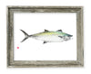 Spanish mackeral original