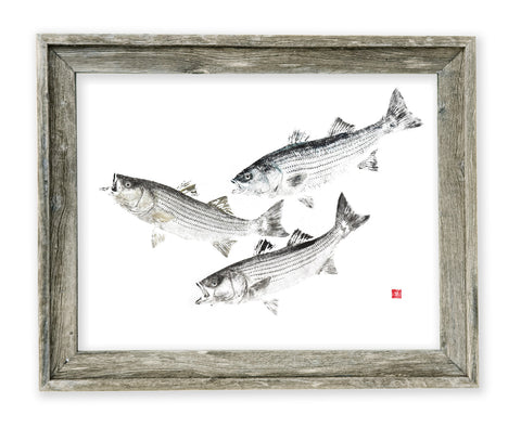 26 x 22 framed striped bass school