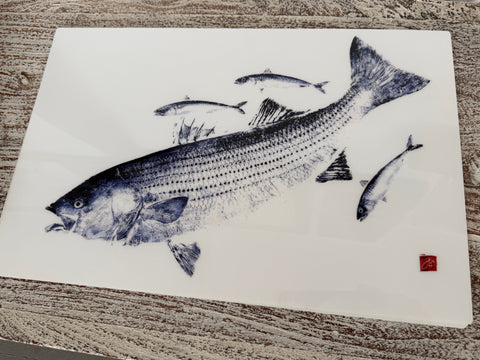 Striped Bass in Blue  Placemat