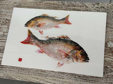 Mutton Snapper Placemat