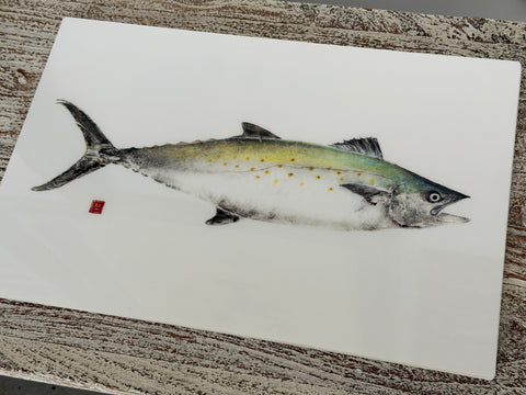 Spanish Mackerel Placemat