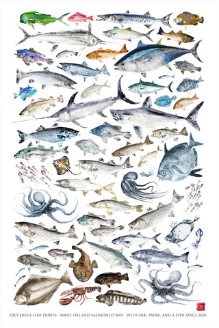 24 x 36 Limited edition 15 years of fish printing Archival Print