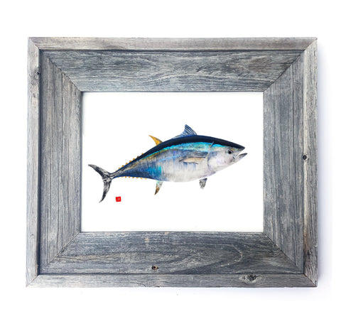 16 x 13 Framed Bluefin Tuna (Copy)
