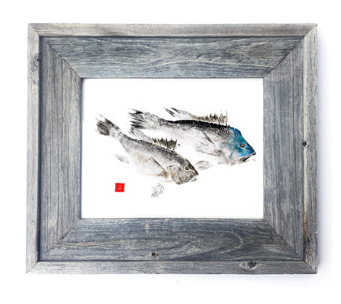 16 x 13 Framed Black Sea Bass pair