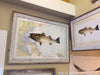17 x22 Nautical Fish Prints (custom)