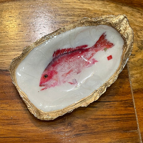Pink snapper oyster shell