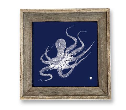 14 x 14 Octopus on blue