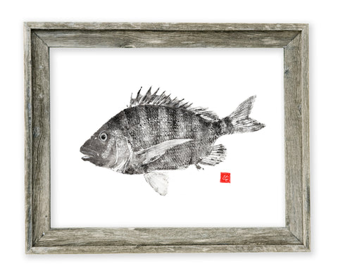 26 x 22 framed sheepshead