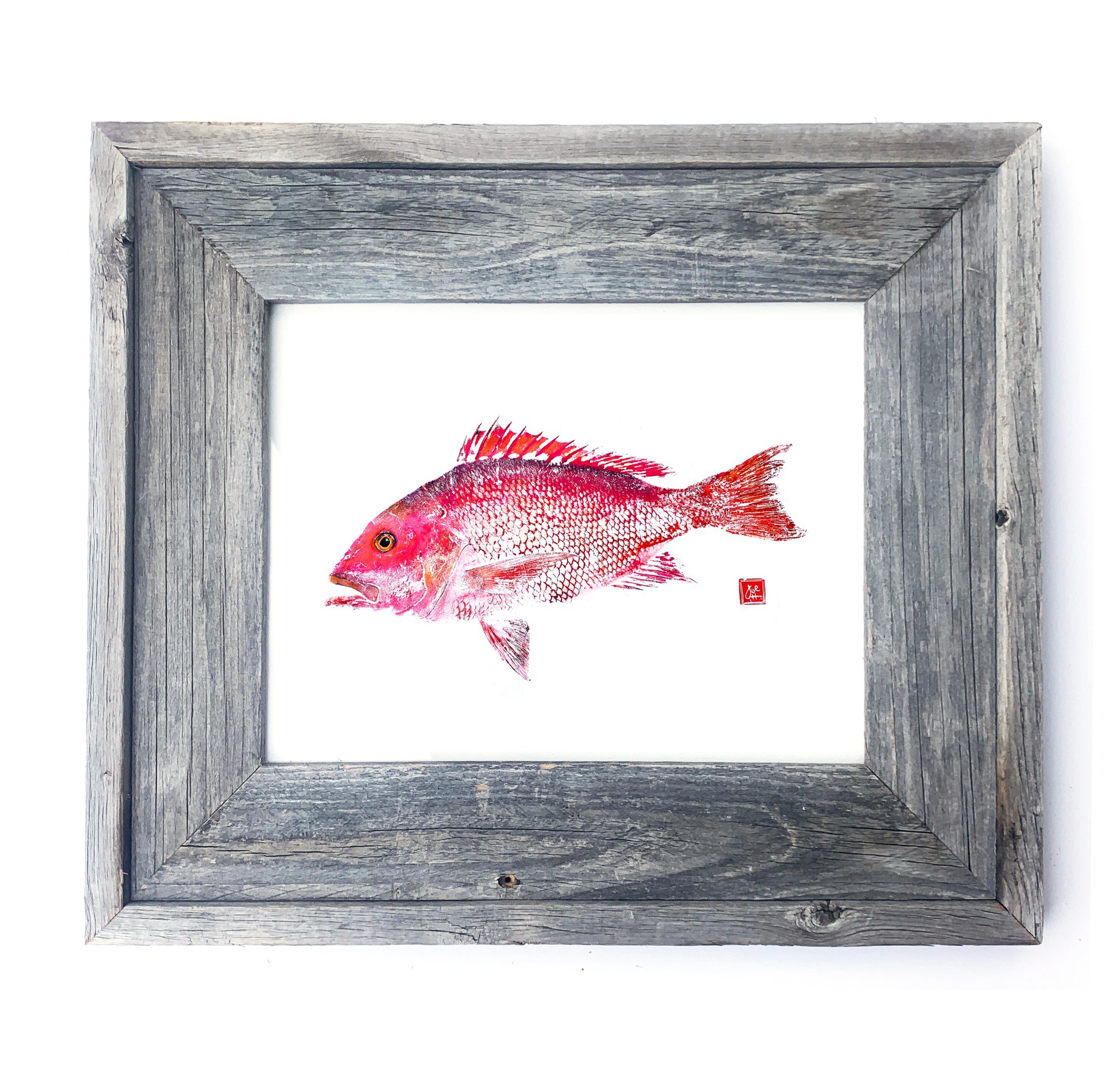 16 x 13 Framed snapper – fishedimpressions