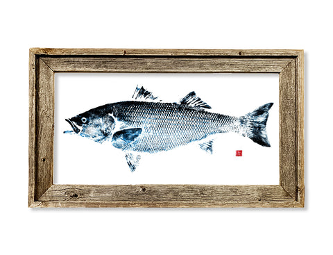 Framed blue and black Striped Bass  26 x 15  framed print