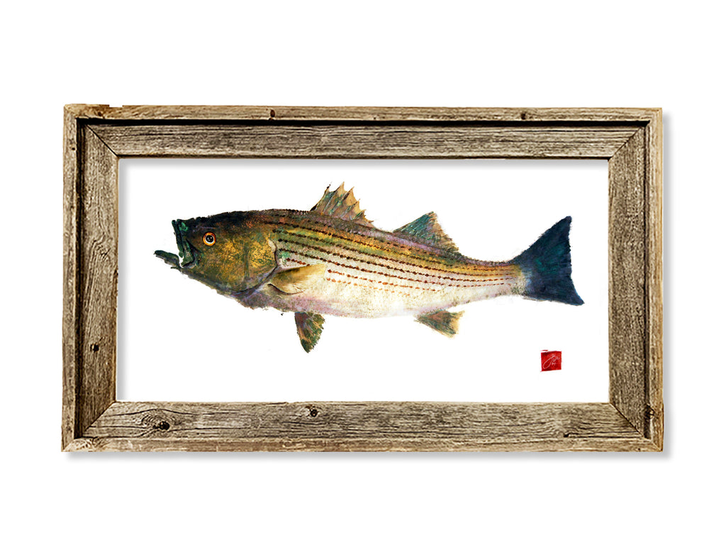 Framed Striped Bass Print 26x15
