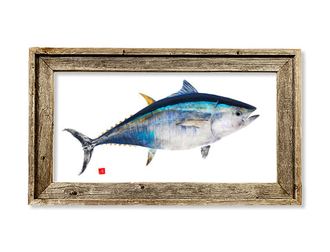 Framed colored Bluefin Tuna  26 x 16 framed print