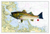 24x36 Nautical Fish Prints (custom)