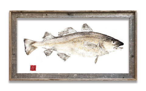 Framed Atlantic Codfish  41 x 22  framed print