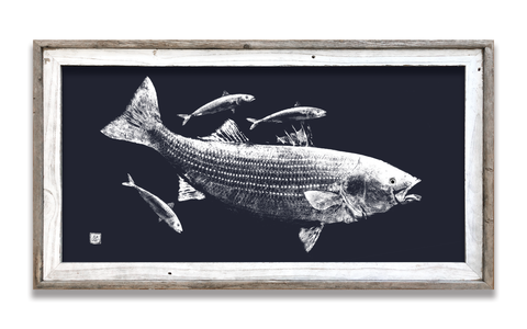 Framed Striped Bass with mackerel on blue  41 x 22  framed print