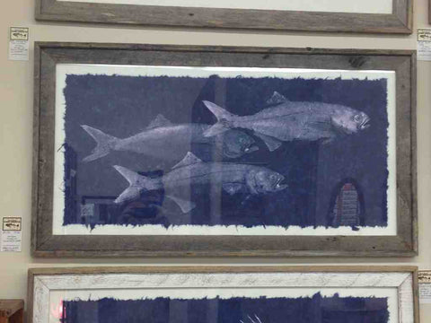 Three bluefish