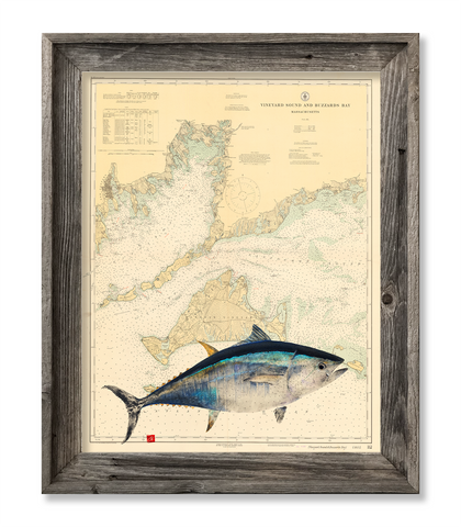 Vineyard Sound and Buzzards Bay with Bluefin tuna -old chart