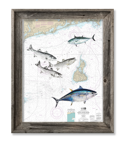 Atlantic Pelagic Fish Guide Letterpress Print -  Canada