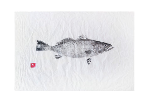 Speckled Sea Trout Original Print