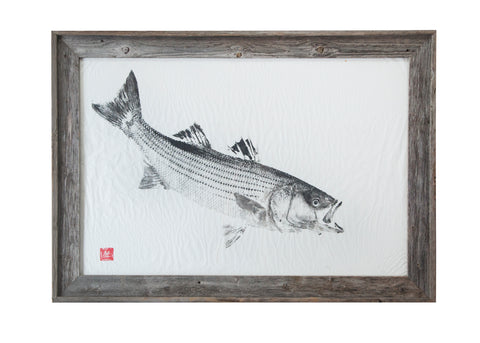 Joe's Fresh Fish Prints – Tagged striped bass – fishedimpressions