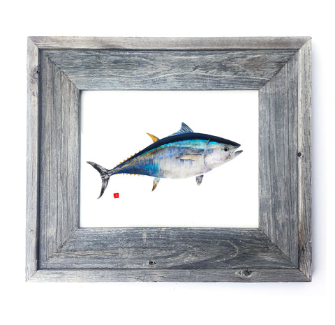 16 x 13 Framed Bluefin Tuna
