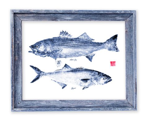 26 x 22 framed indigo striper and bluefish