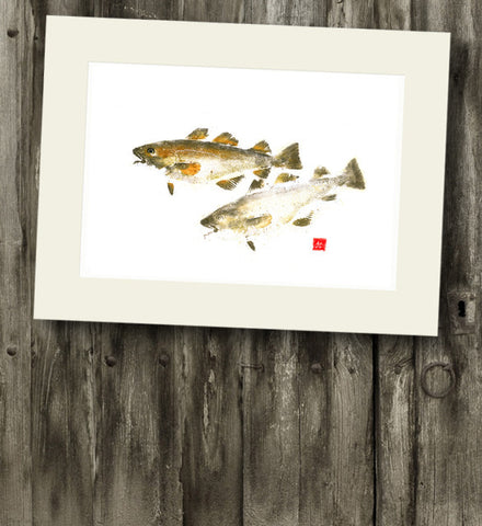 14 x11 Codfish Gyotaku Archival Print