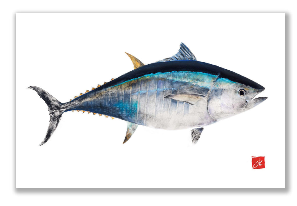 Bluefin Tuna colored Placemat - fishedimpressions