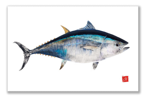 Bluefin Tuna colored Placemat
