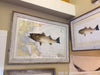 24x36 Nautical Fish Prints (custom)