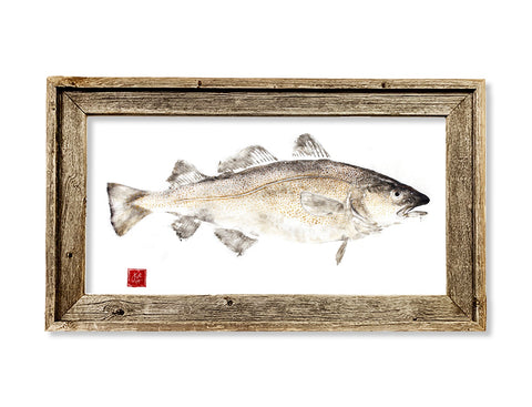 Framed codfish  26 x 16 framed print