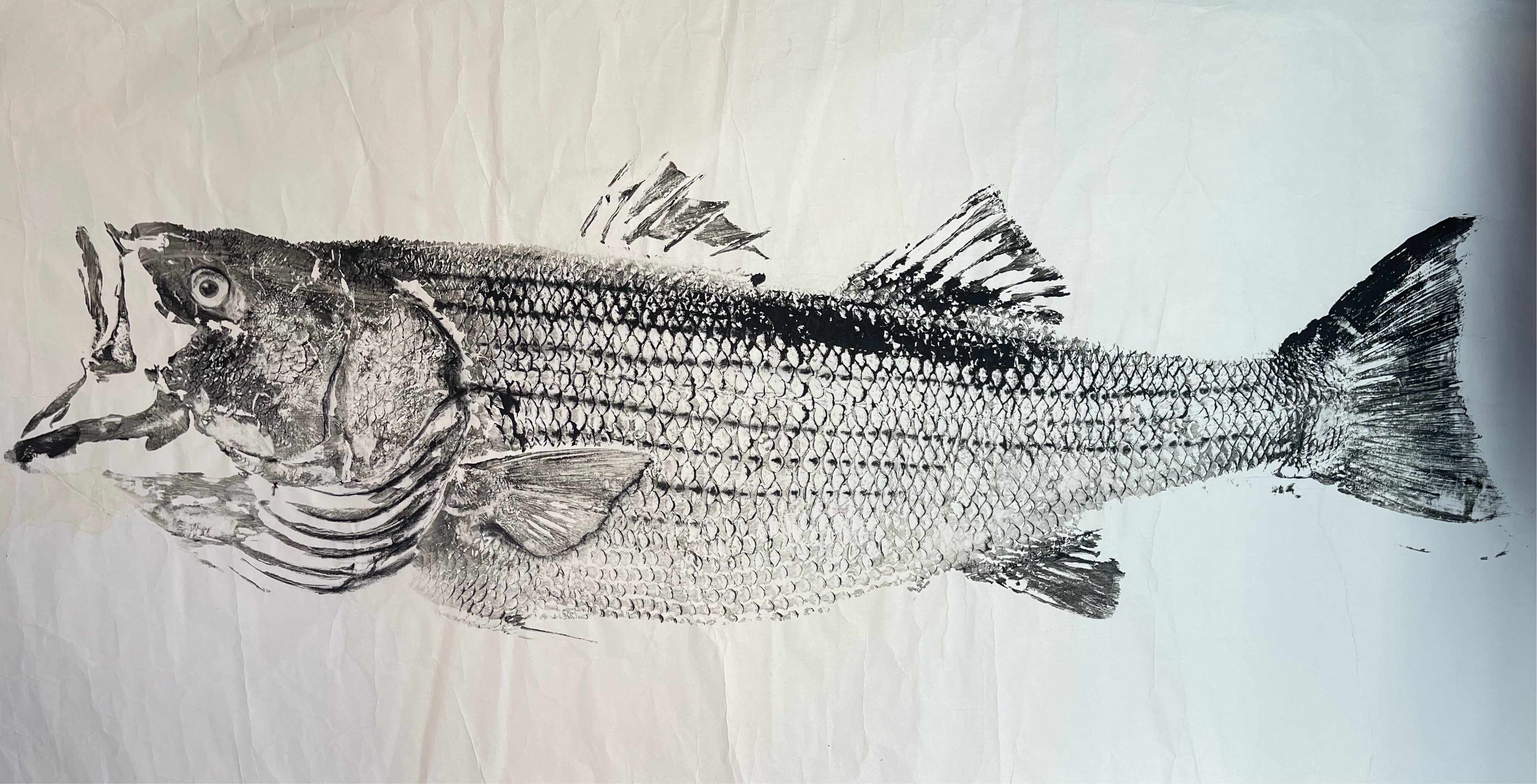 Black ink Striped bass 54 x 27 - Original Print - fishedimpressions