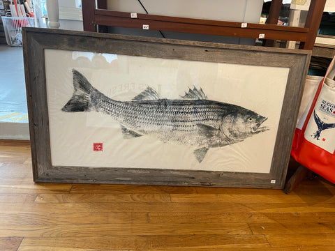 Striped bass  framed print  44 x 28- Original  Print