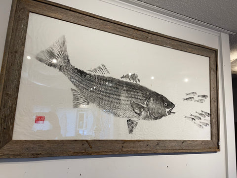 Striped bass  chasing baitfish 54 x 29- Original  Print