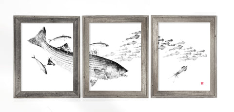 64 x 26 Striper chasing bait indigo blue Triptych Archival Print