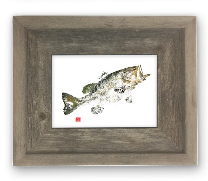 Small Framed largemouth bass - fishedimpressions