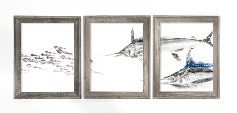 Framed White Marlin chasing squid triptych
