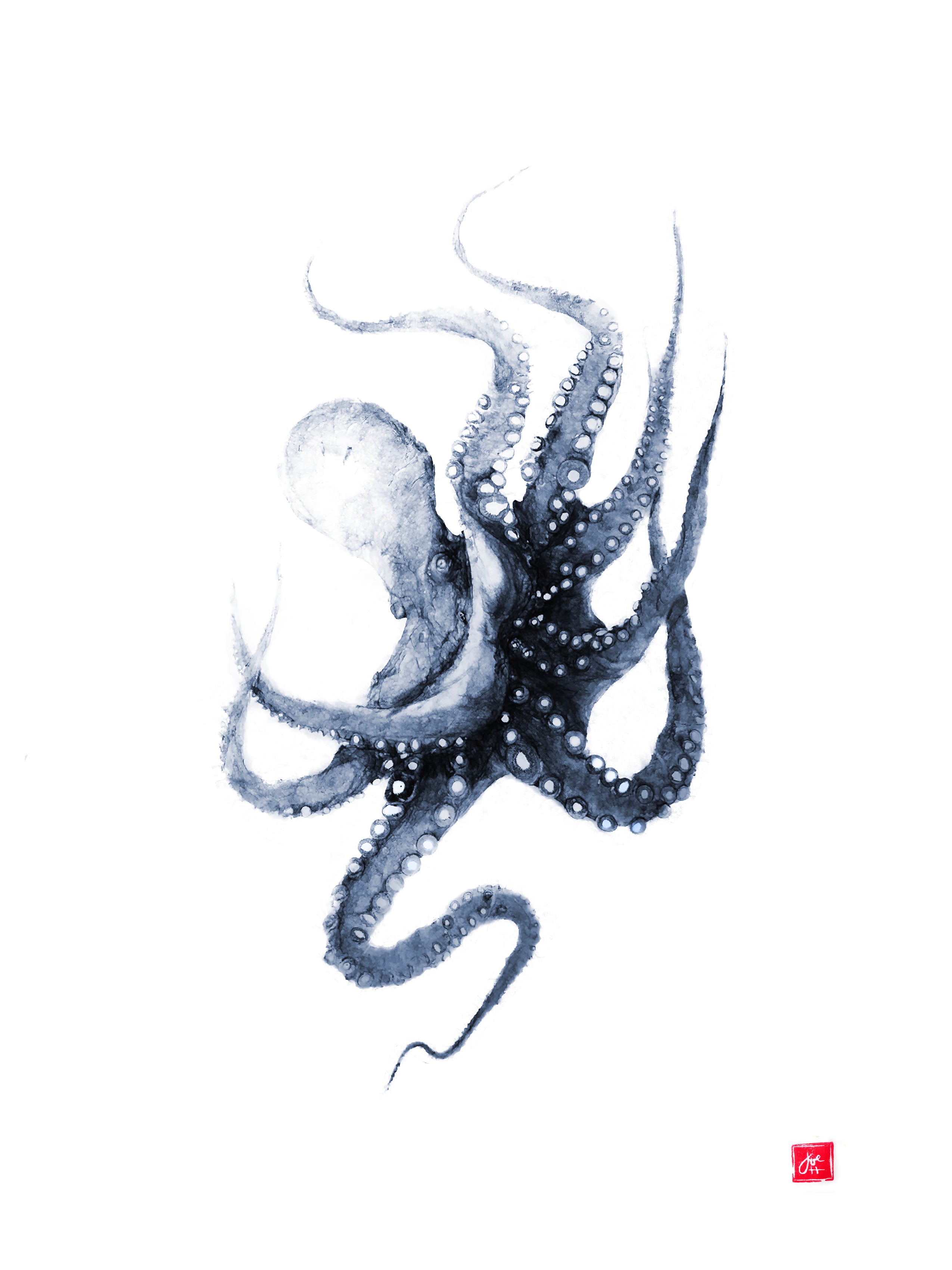 Ren og skær videnskabelig tyran 17 x 22 Indigo Octopus Archival Print – fishedimpressions