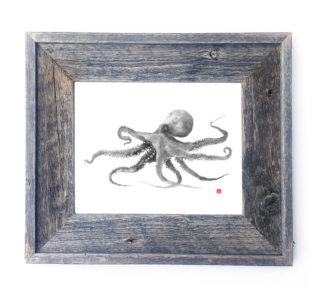 16 x 13 Framed Grey Octopus – fishedimpressions