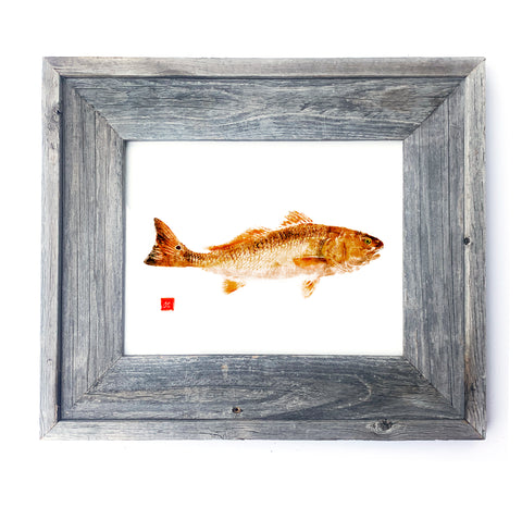 16 x 13 Framed Redfish