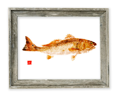 26 x 22 framed Redfish